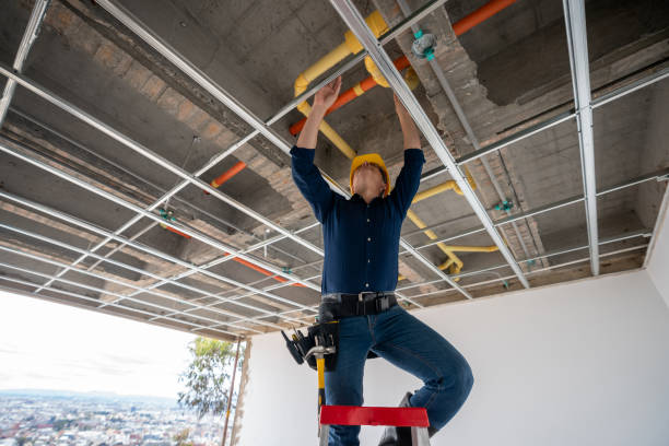 Best Plumbing Inspection Services  in Buchanan, VA