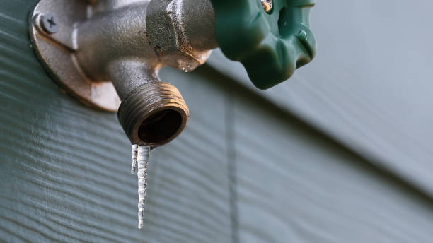 Best Same-Day Plumbing Service  in Buchanan, VA